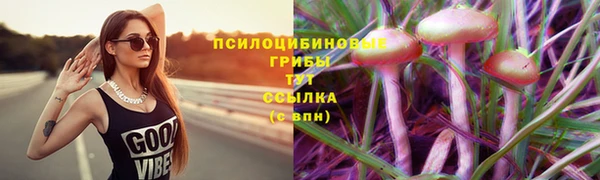 крисы Белоозёрский