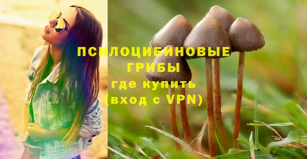 крисы Белоозёрский