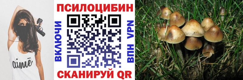 наркотики  Пионерский  Галлюциногенные грибы ЛСД 