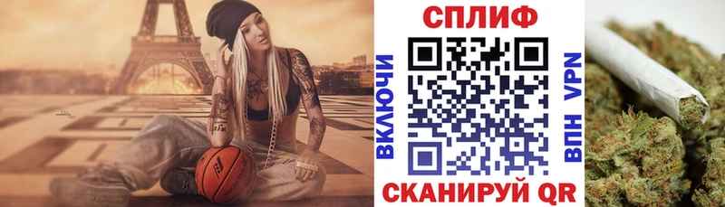 магазин продажи наркотиков  Пионерский  Конопля сатива 